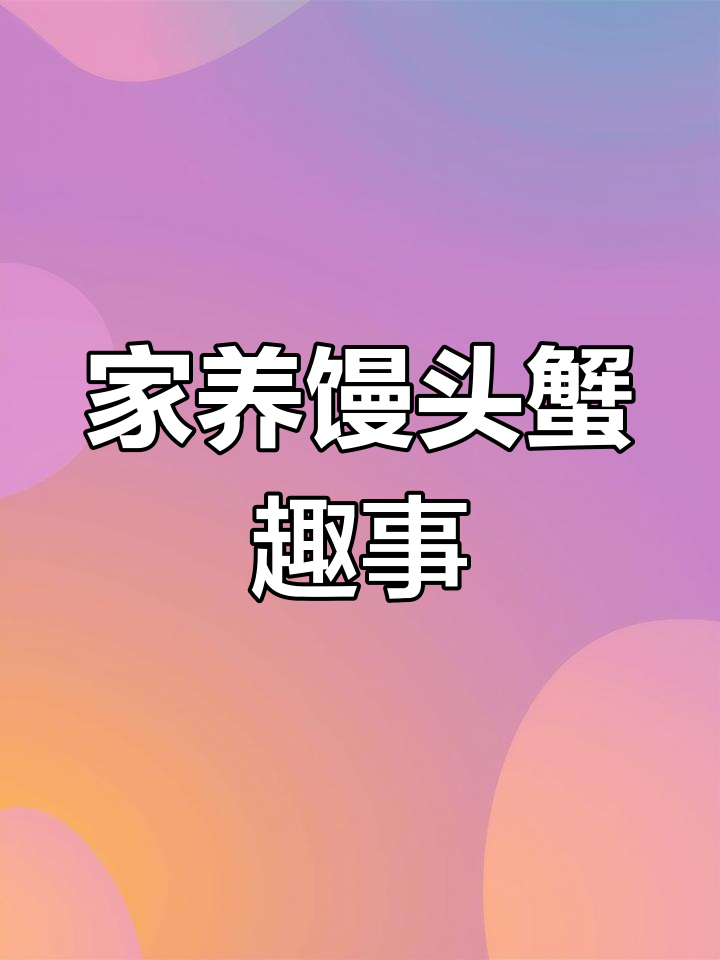 馒头蟹的呆萌日常:家养新宠大揭秘