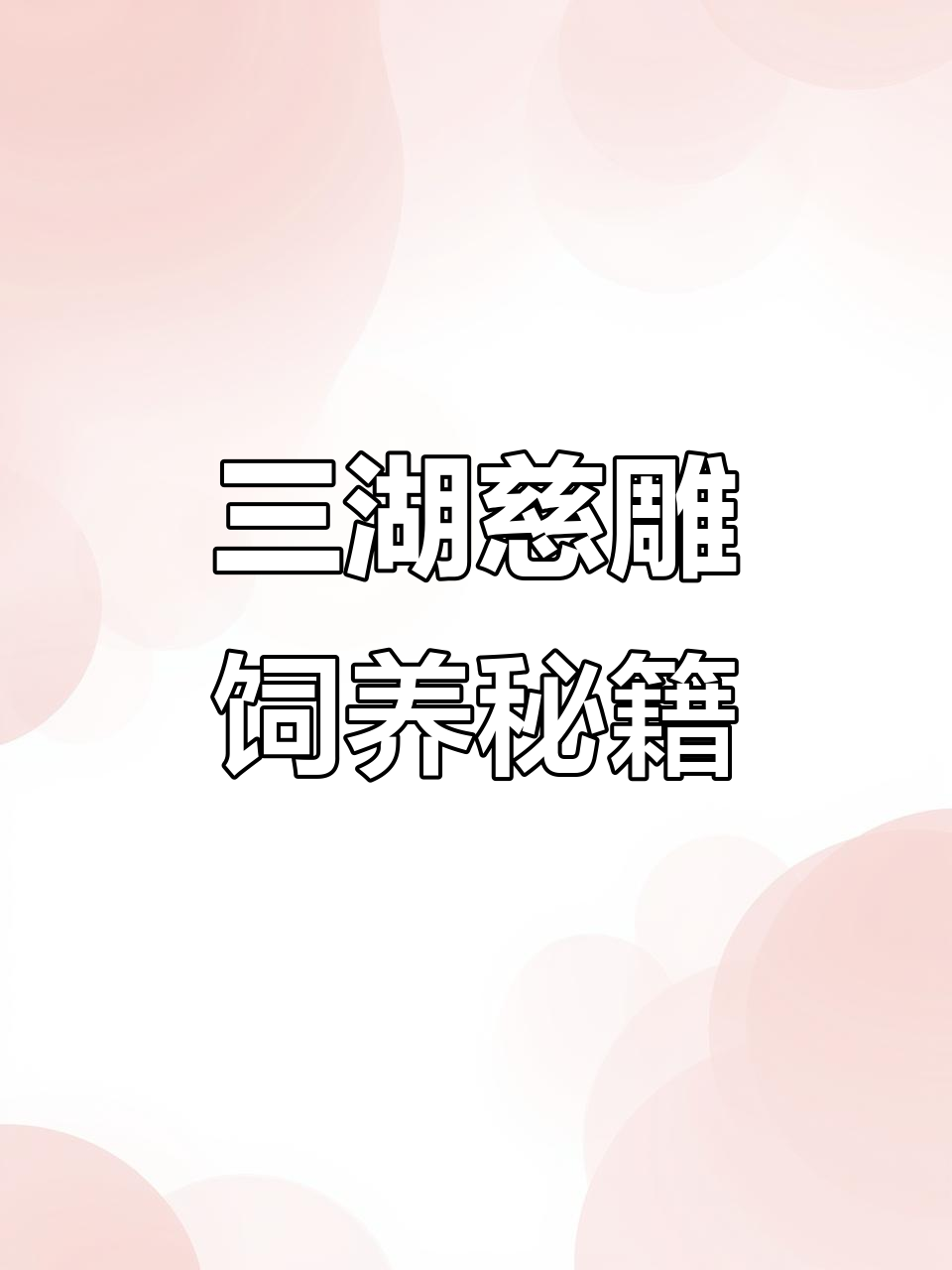 珊瑚石雕鱼养殖技巧:水质、底沙与鲜虾食谱全解析