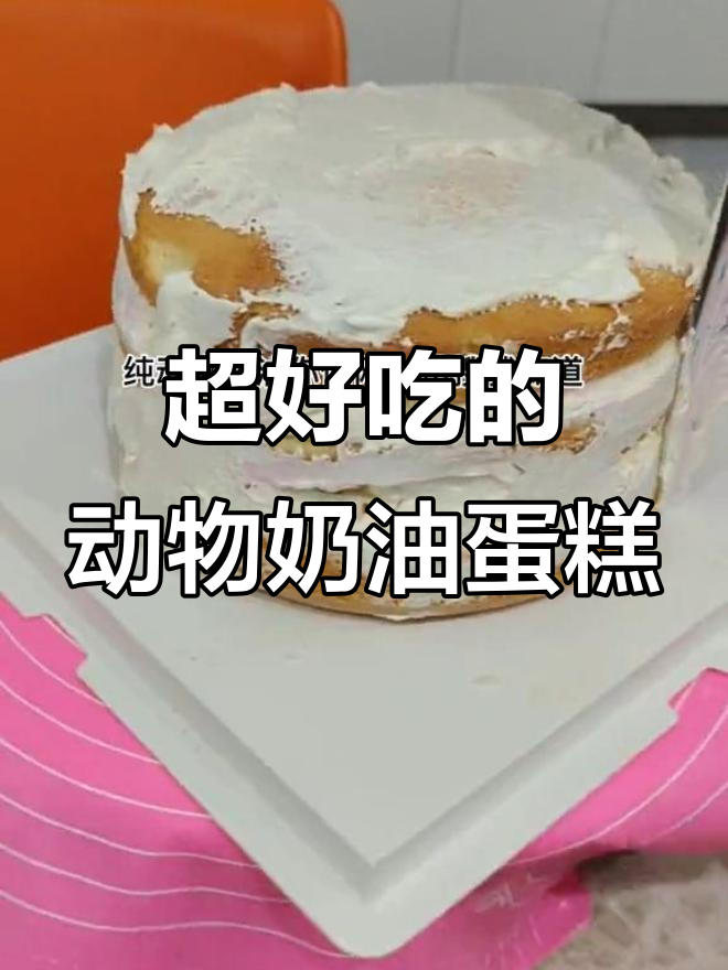 定制动物奶油蛋糕,口感超乎想象!