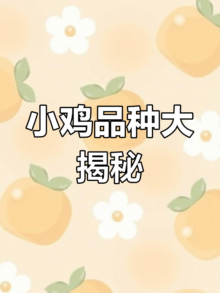 4只小鸡成长记:不同品种的特征变化