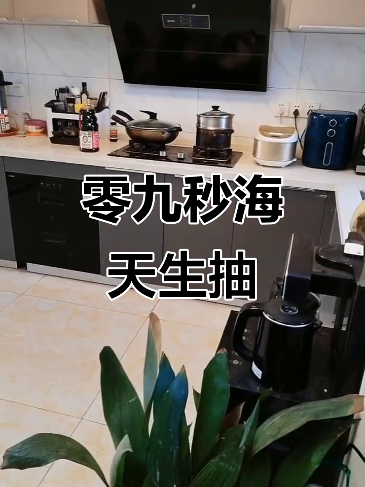 海天0金标生抽:凉拌菜、烧肉炖汤样样行,过年必备厨房神器