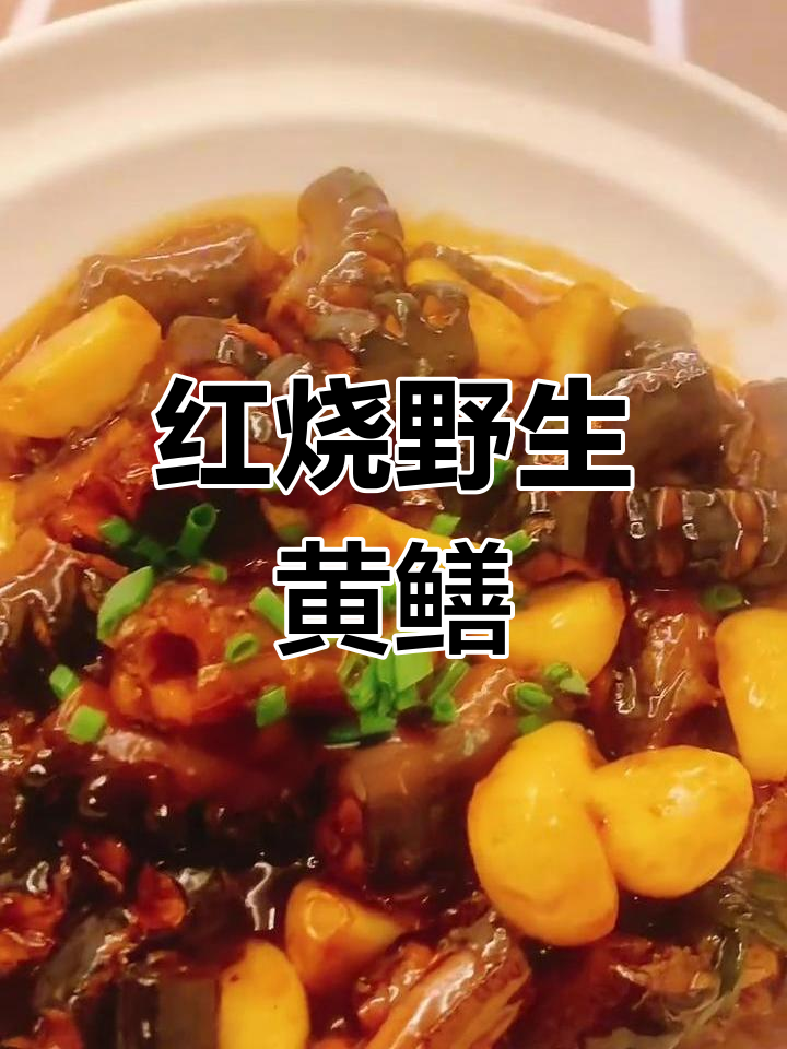 野生黄鳝红烧做法,肉质鲜嫩营养丰富