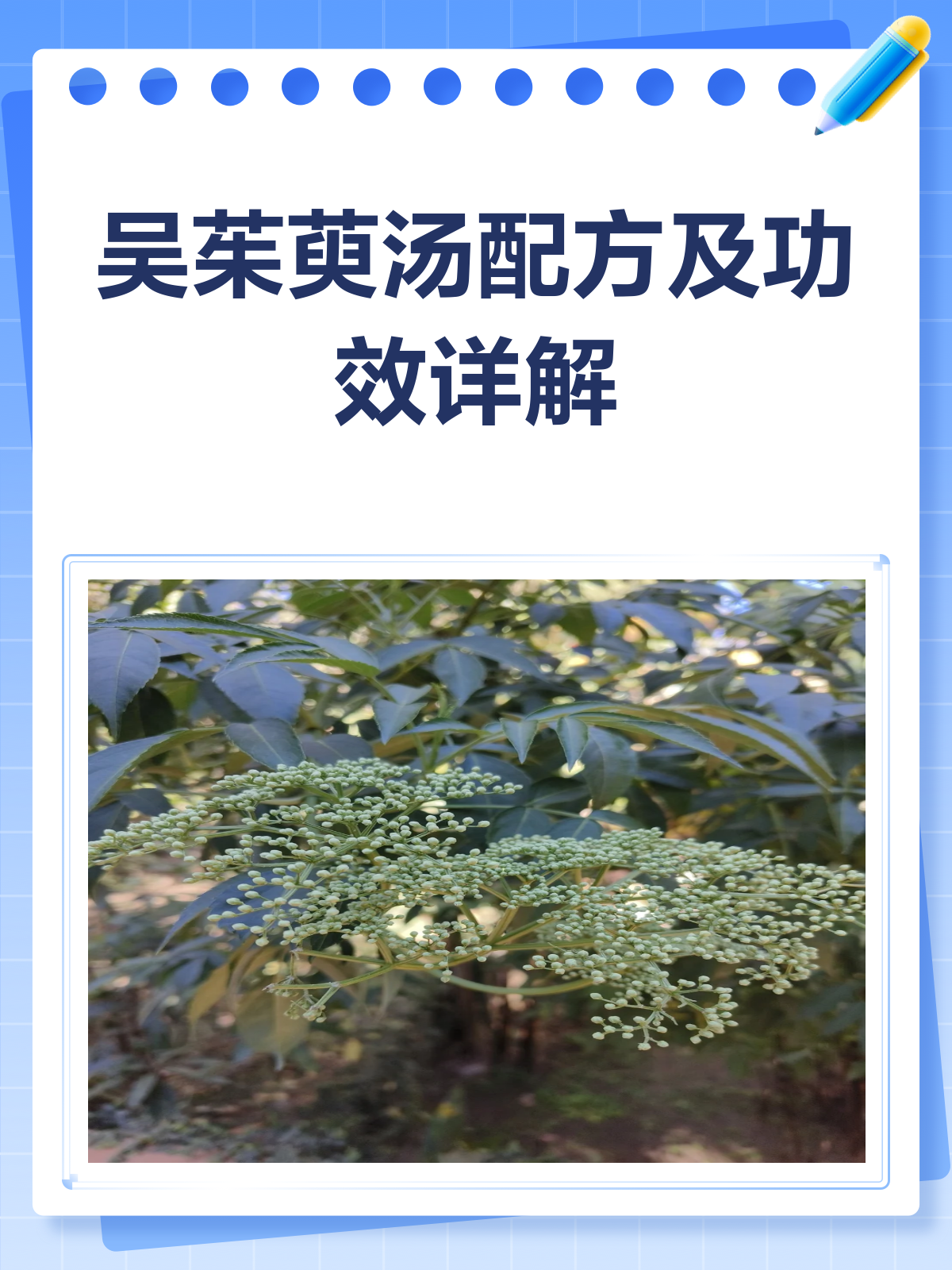吴茱萸汤配方揭秘!温中补虚就靠它!
