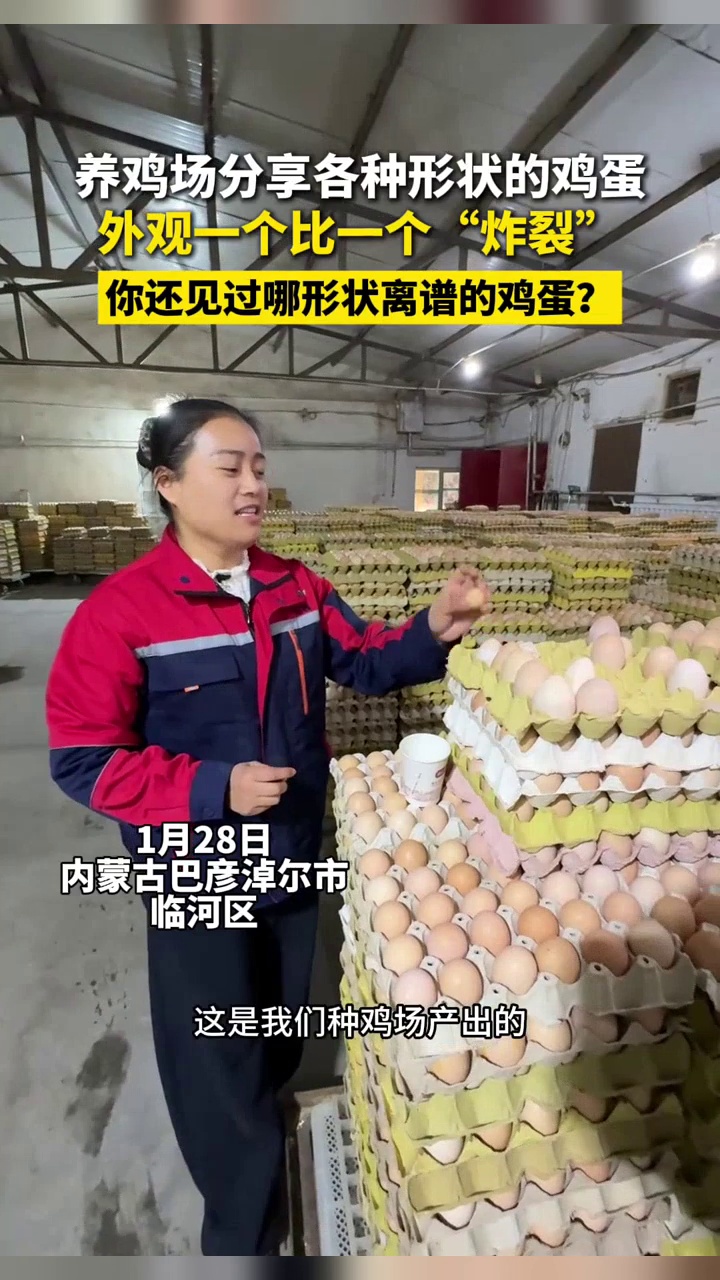 养鸡场员工分享各种形状的鸡蛋：小小蛋、蛋中蛋，还有“蚕蛹蛋”