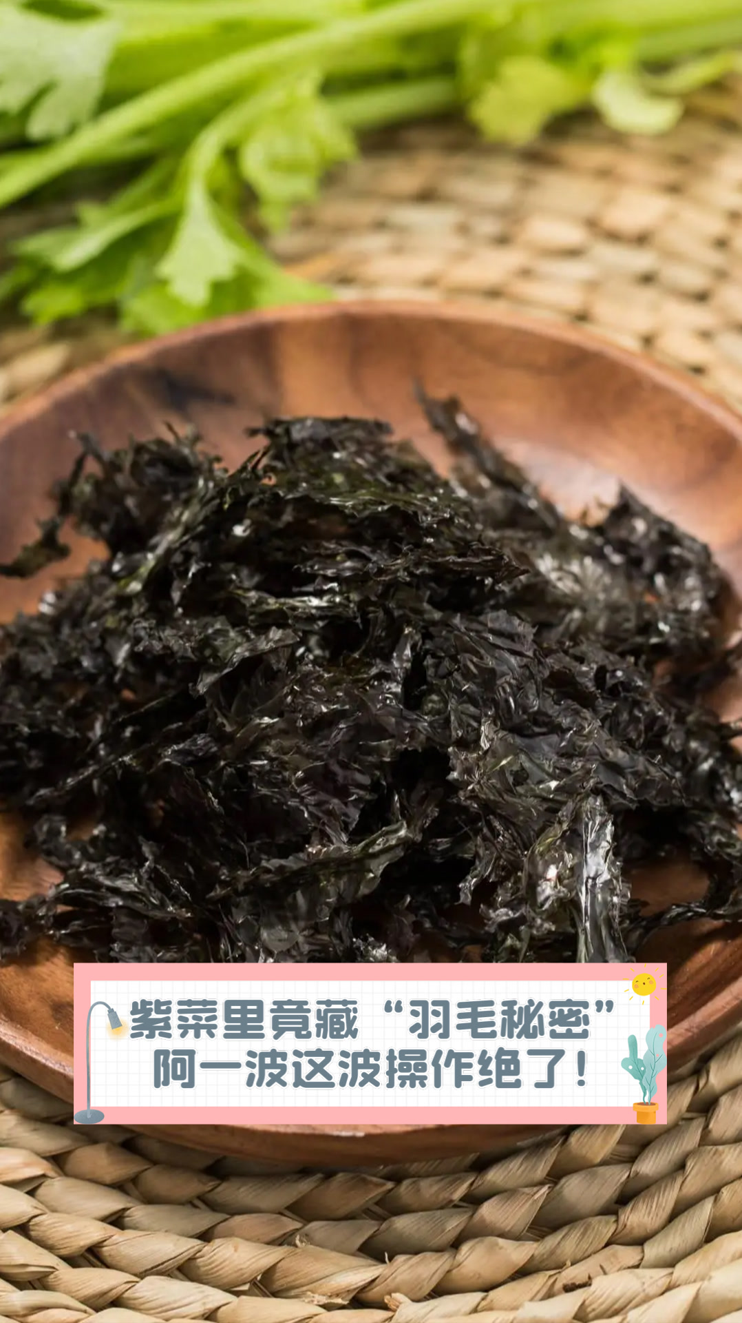 紫菜里竟藏“羽毛秘密”,阿一波这波操作绝了!