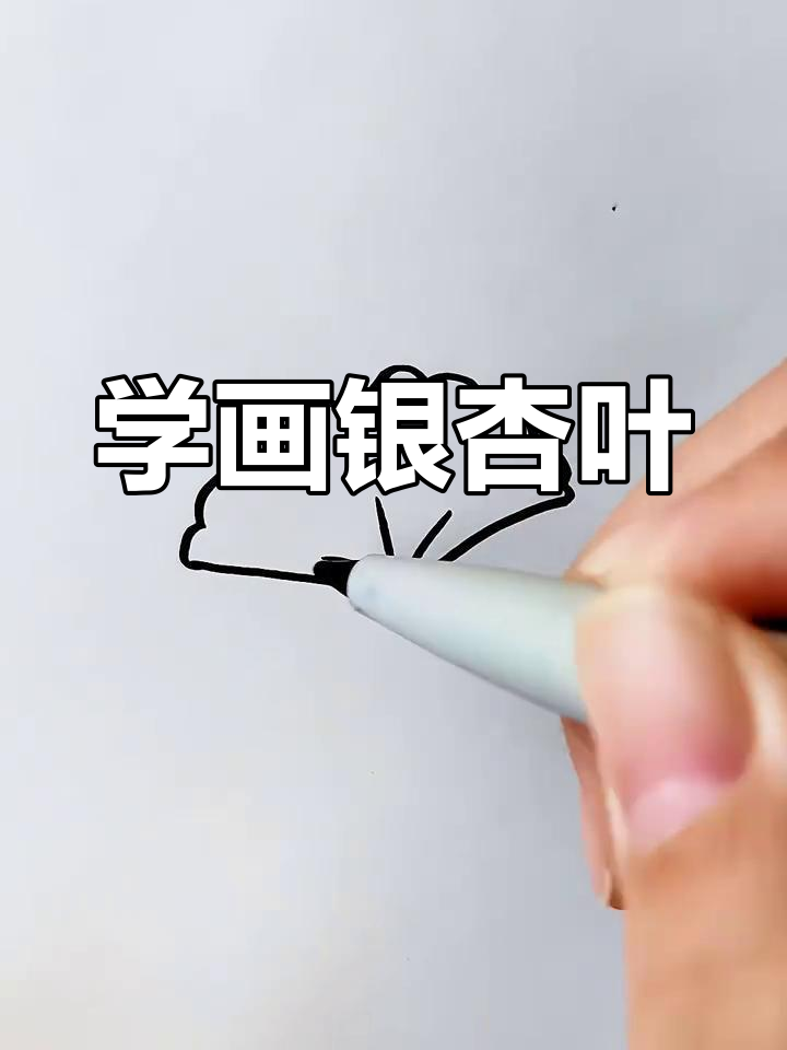 银杏叶简笔画,轻松学会画可爱叶子