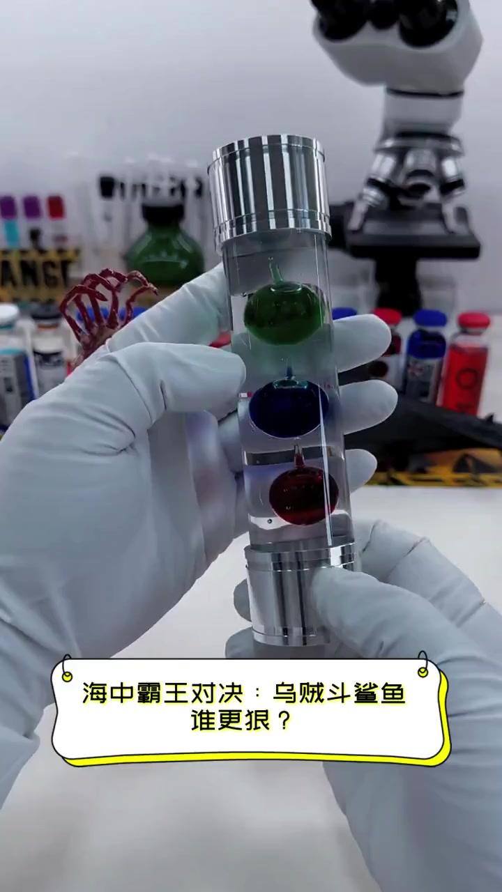 海中霸王对决:乌贼斗鲨鱼,谁更狠?