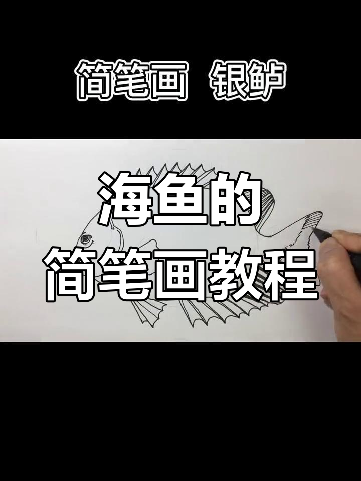 弟弟画的银鲈鱼,我帮忙改了一下
