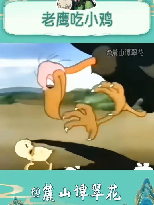 原来现实版的老鹰是这样吃小鸡的啊