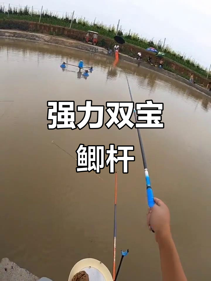 双宝鲫杆,硬朗耐用,湖库大鱼也能轻松应对