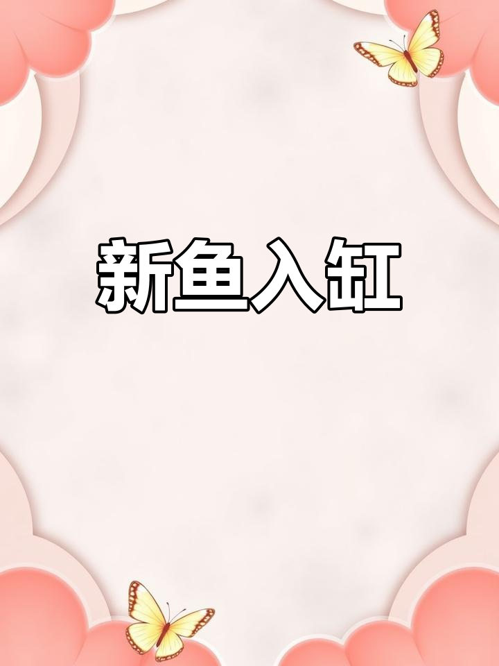 刚果美人终于入手,金属鳞片超美