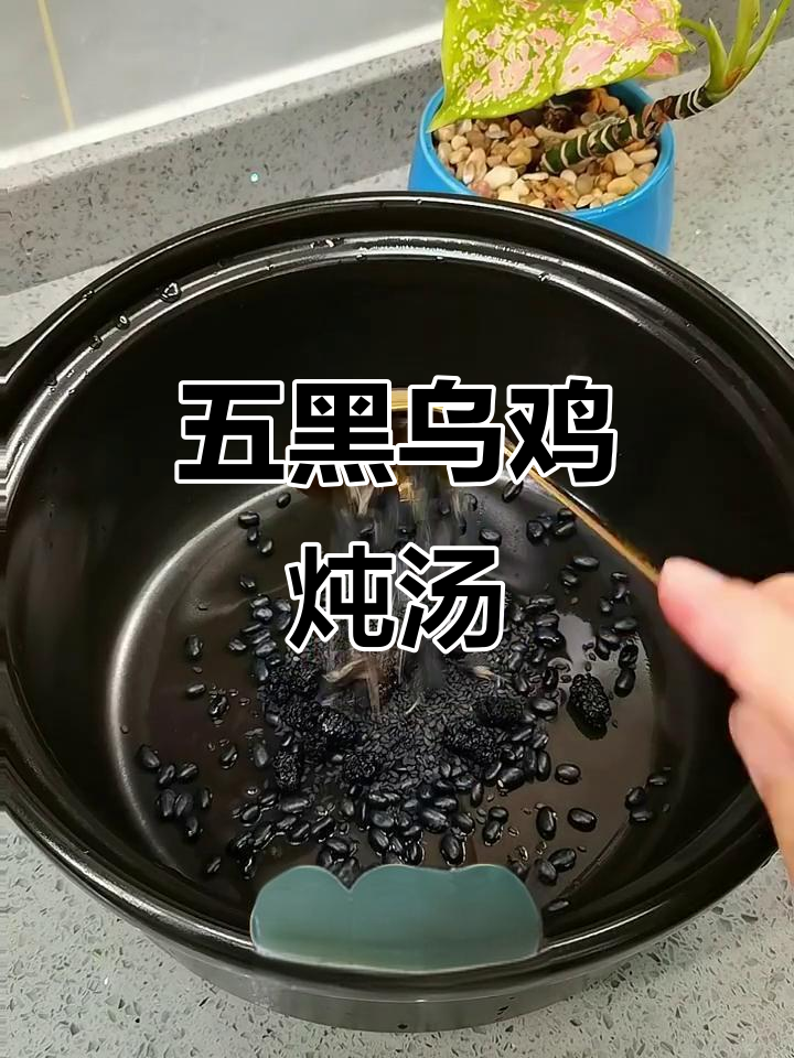 五黑乌鸡汤,滋补美容,汤中极品