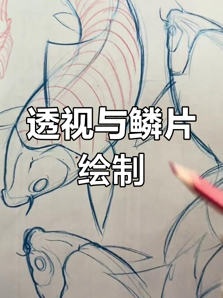鱼鳞画法技巧详解