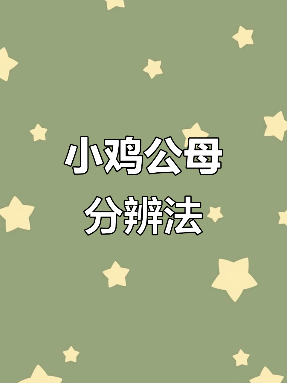 斗鸡公母辨别技巧,教你如何区分小鸡性别