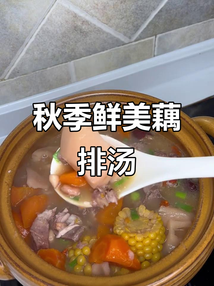 秋藕排骨汤，滋补又美味！玉米、胡萝卜等搭配炖出满满幸福
