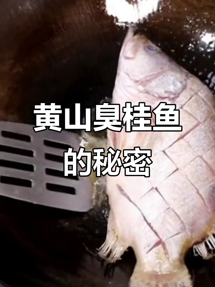 黄山臭桂鱼:闻起来有点“怪”,但味道超赞!