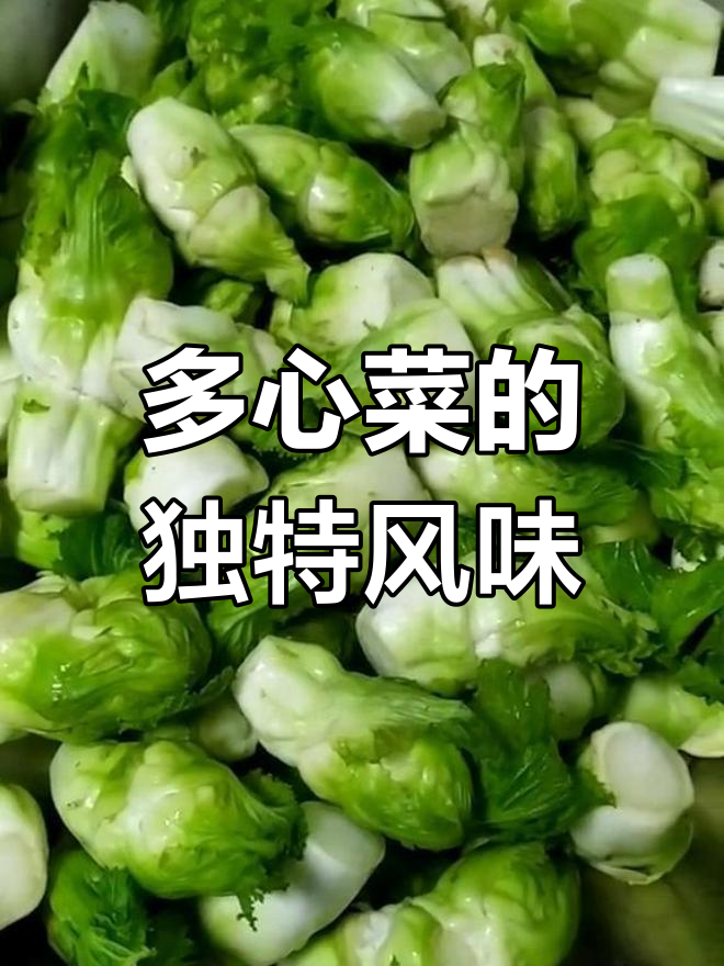 南方人爱吃的多心菜,微苦嫩滑