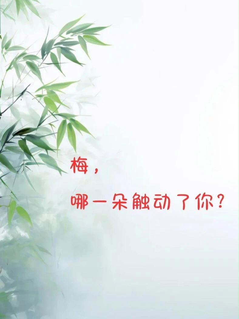诗中梅，或孤高，或清雅，或痴绝，哪一朵触动了你？王安石墙角的梅，凌寒独开，暗香辨雪，写尽高