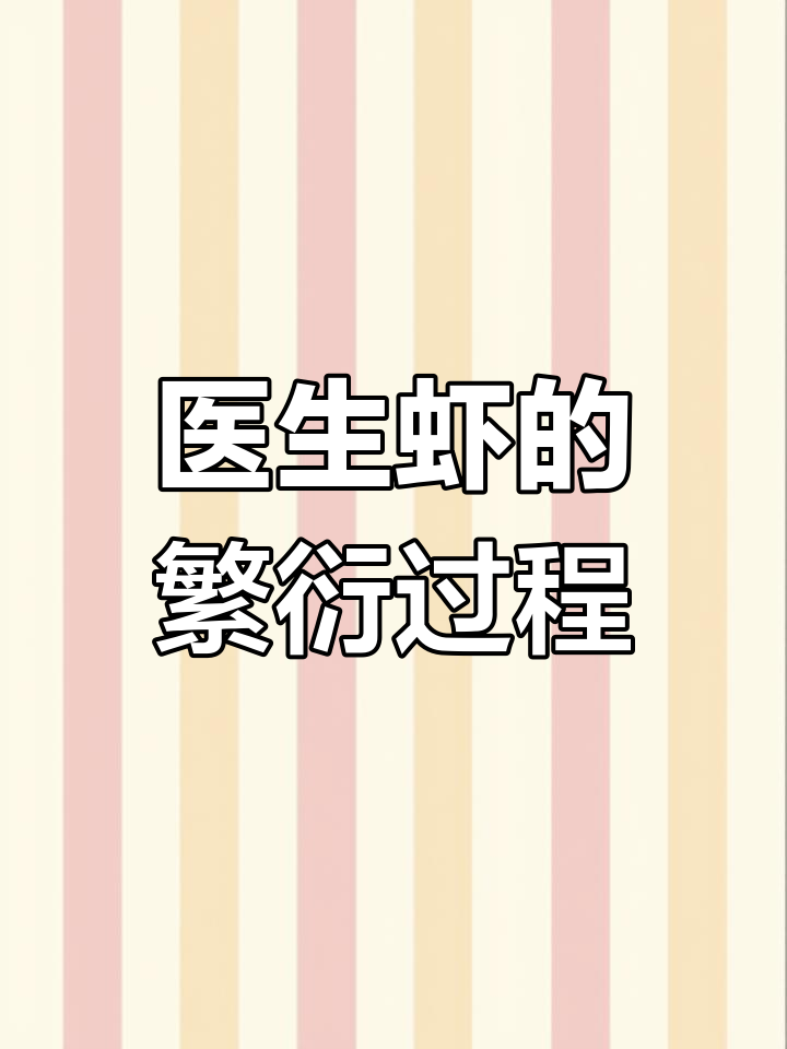 医生虾如何繁殖?从产卵到孵化的全过程揭秘