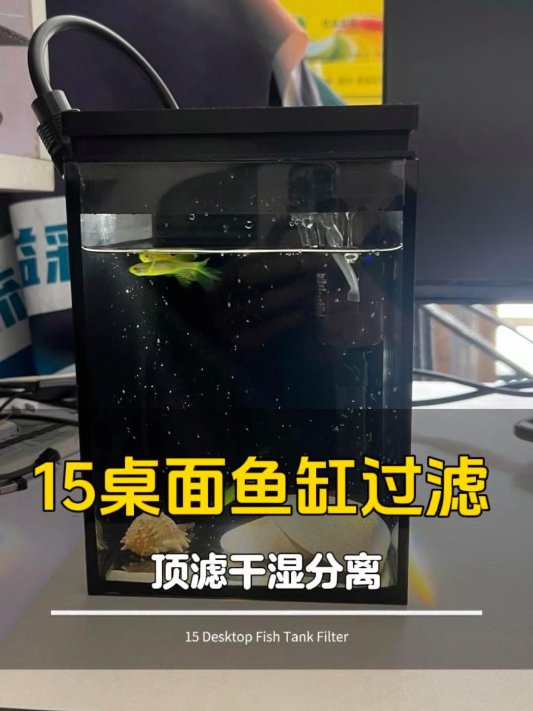 15桌面鱼缸，顶滤干湿分离过滤 桌面鱼缸 鱼缸里的大自然 养鱼日记 空气缸
