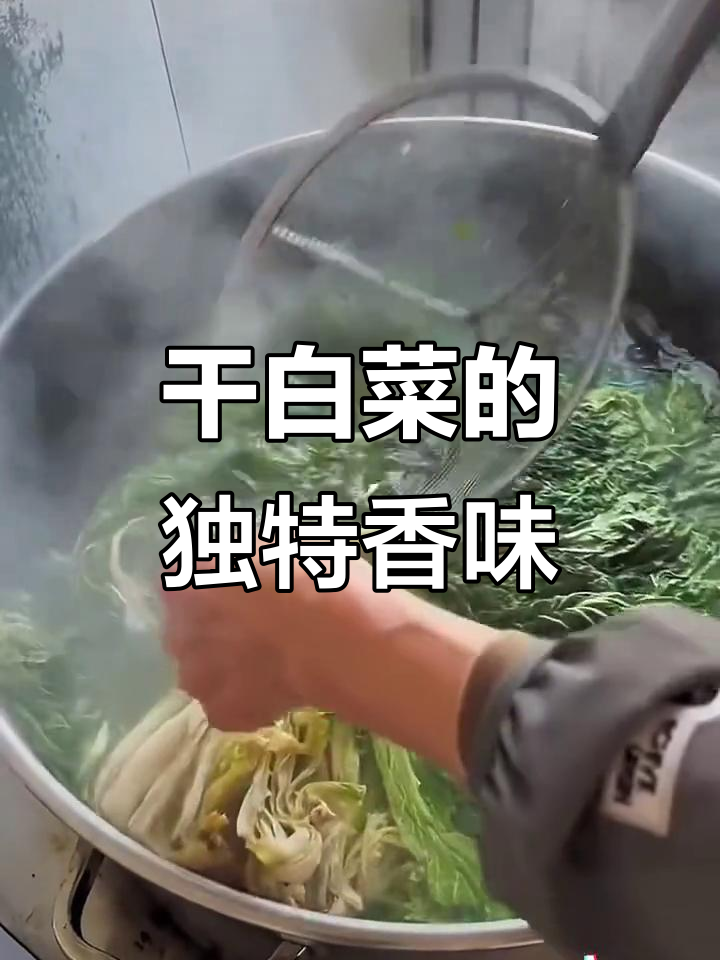 干白菜与西安白菜的区别,炖狗肉香气更浓