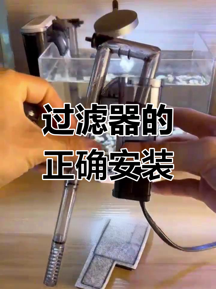 小鱼缸外挂过滤器安装全攻略,轻松搞定水质问题