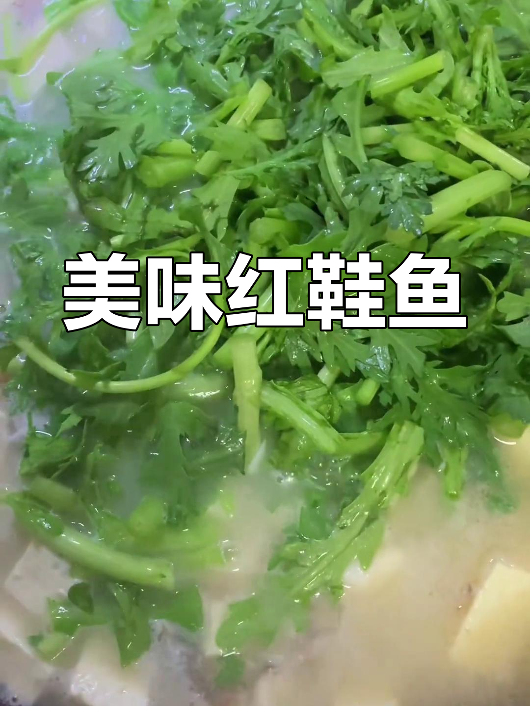 红鞋鱼炖豆腐,鲜美嫩滑,汤汁浓郁