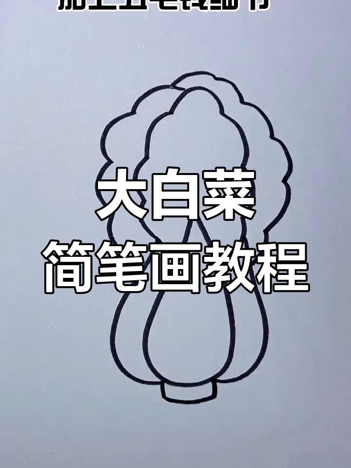轻松学画大白菜,简单步骤教你画出可爱蔬菜