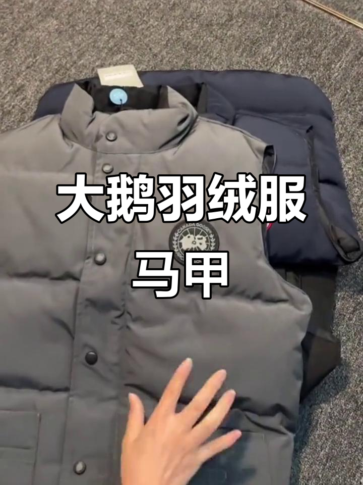 冬季必备!大鹅羽绒服马甲,百搭不挑人