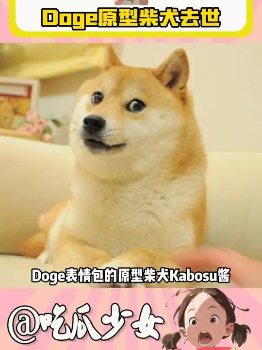 让我们一起说 谢谢小狗 doge cheems 表情包