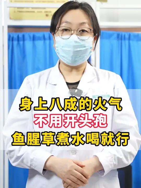 身上八成的火气,不用开头孢,鱼腥草煮水喝就行
