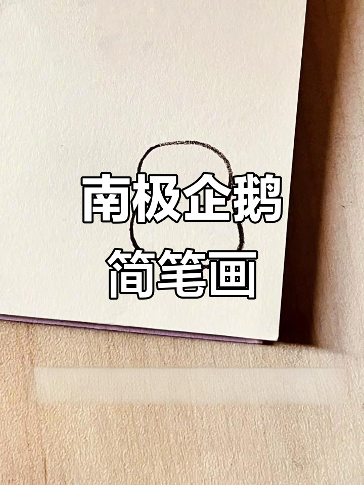 冬至到,南极企鹅送祝福!简单呆萌画法教学