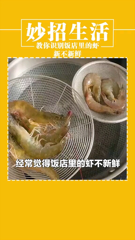 如何辨别活虾和冻虾?