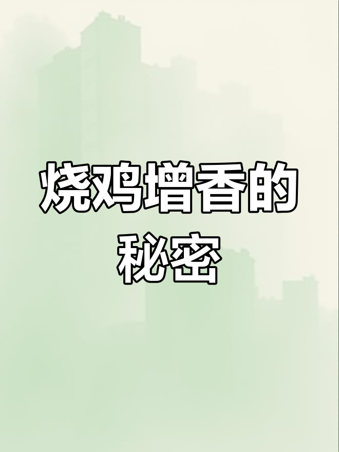 烧鸡更香,八种料加高汤的秘诀