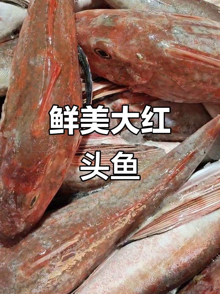 红头鱼、红蟹鱼,新鲜又美味,炖豆腐超下饭