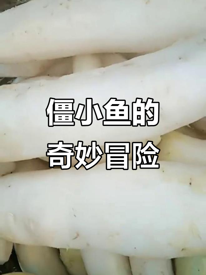 僵小鱼带你穿越山川湖海,一起唱首歌飞高走远