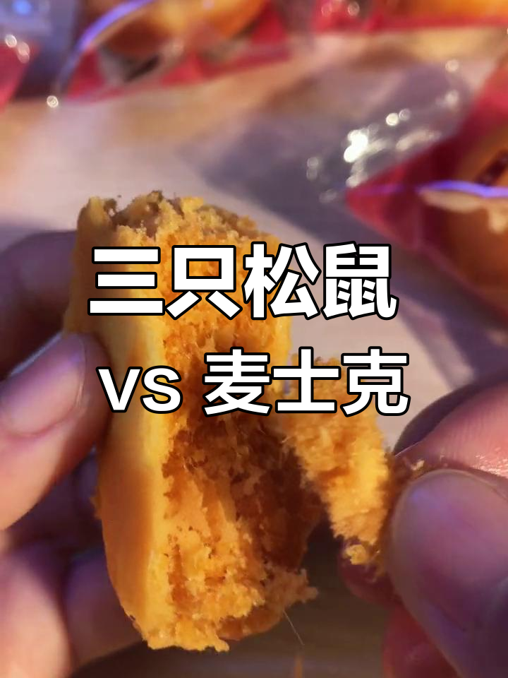 肉松饼测评:三只松鼠与麦士克谁更好吃?