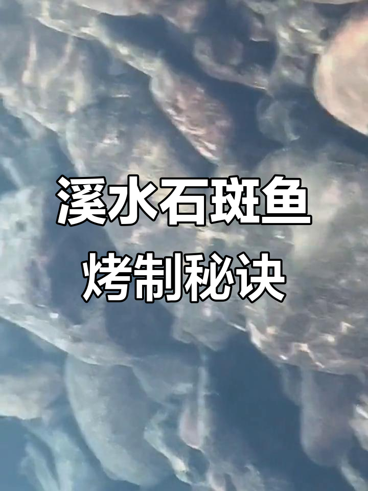 正宗溪水石斑鱼,烤干后香气扑鼻,配辣椒酸豆角超下饭