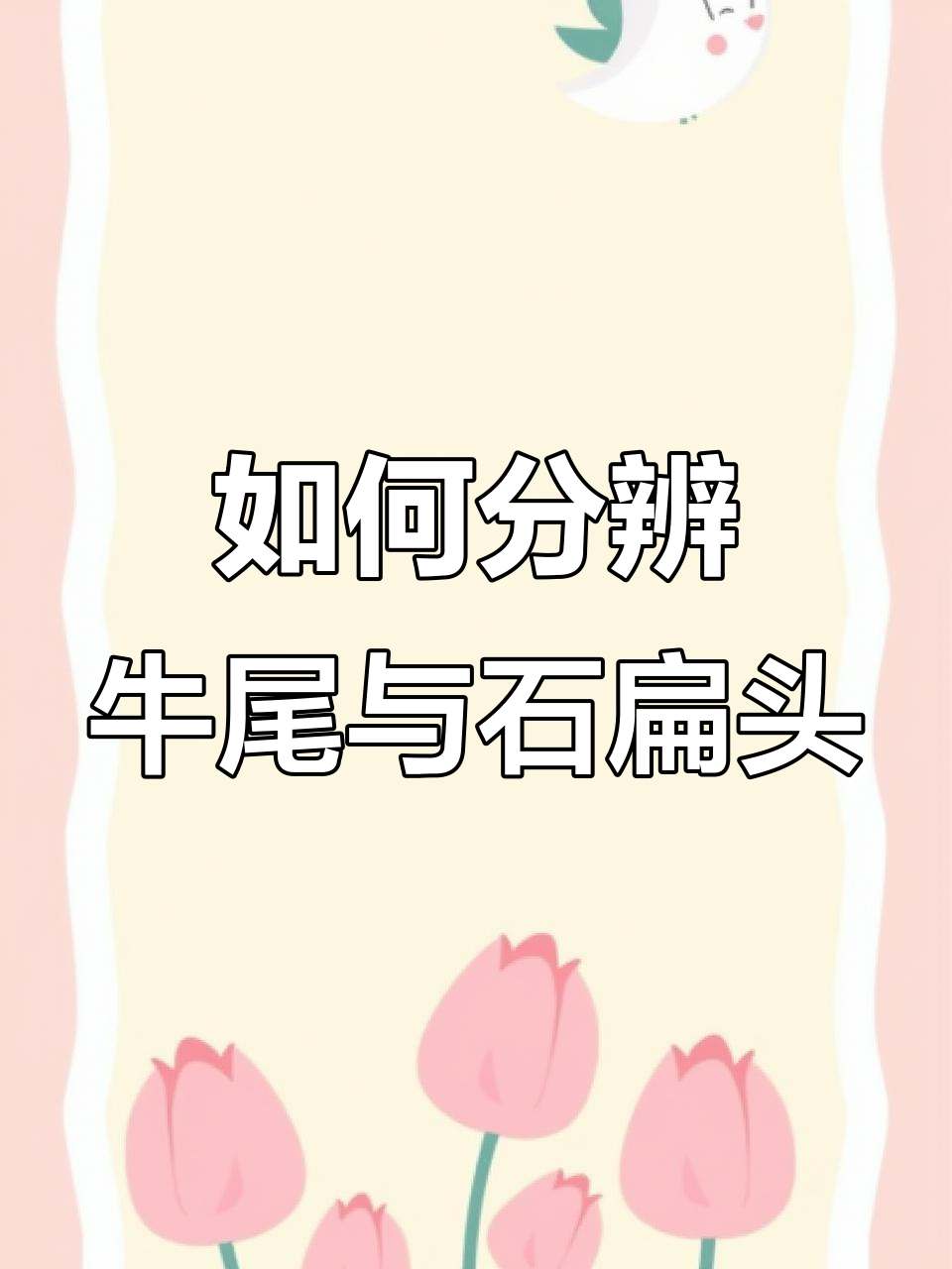 牛尾巴鱼和石匾头鱼的差别,钓鱼爱好者必看!