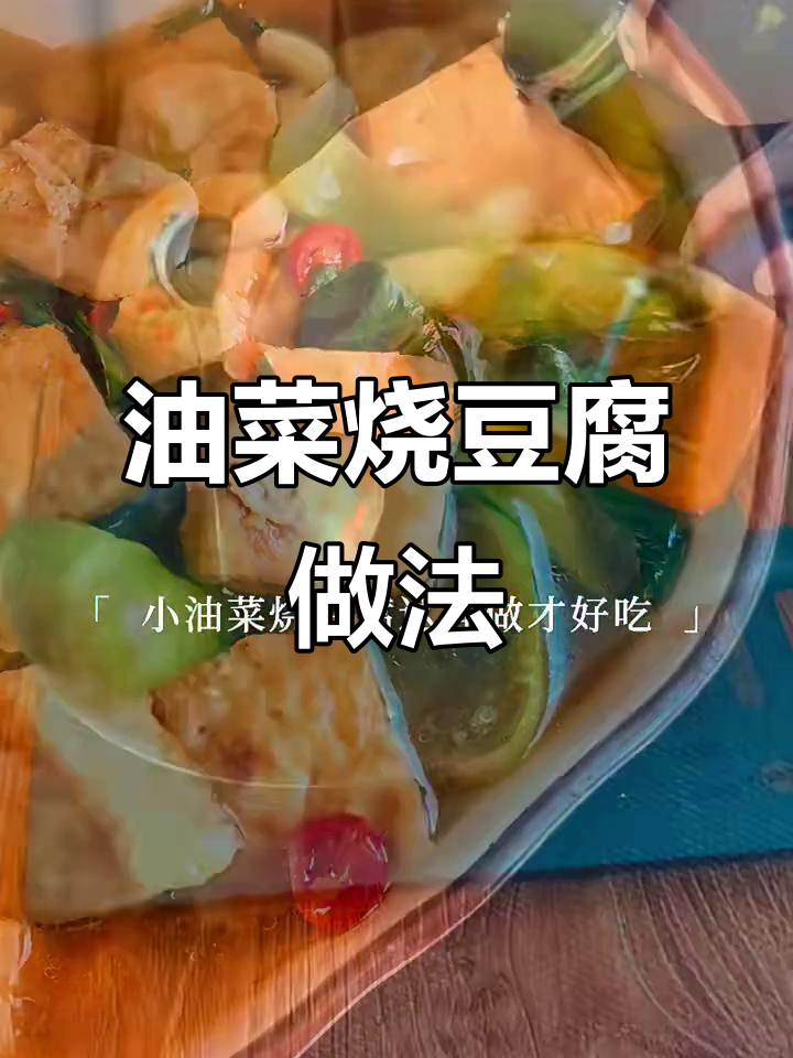 小油菜烧豆腐,简单又美味!教你这样做不粘锅