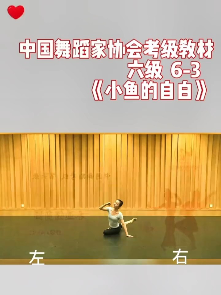 舞协六级6-3《小鱼的自白》镜面教材
