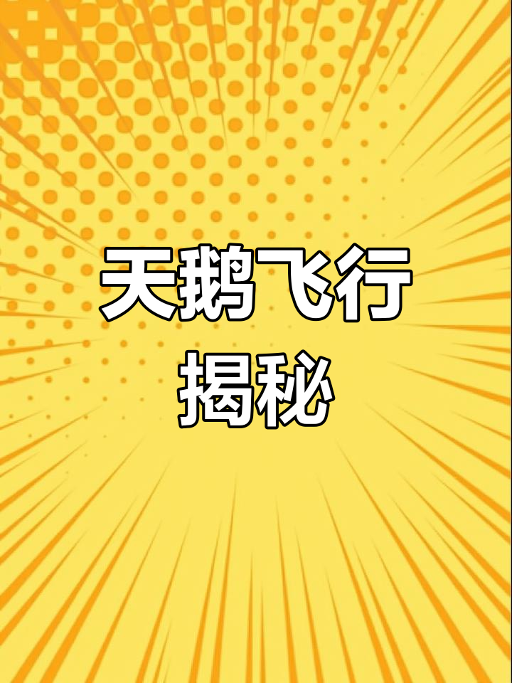 天鹅飞翔高度惊人,与普通鹅大不同!