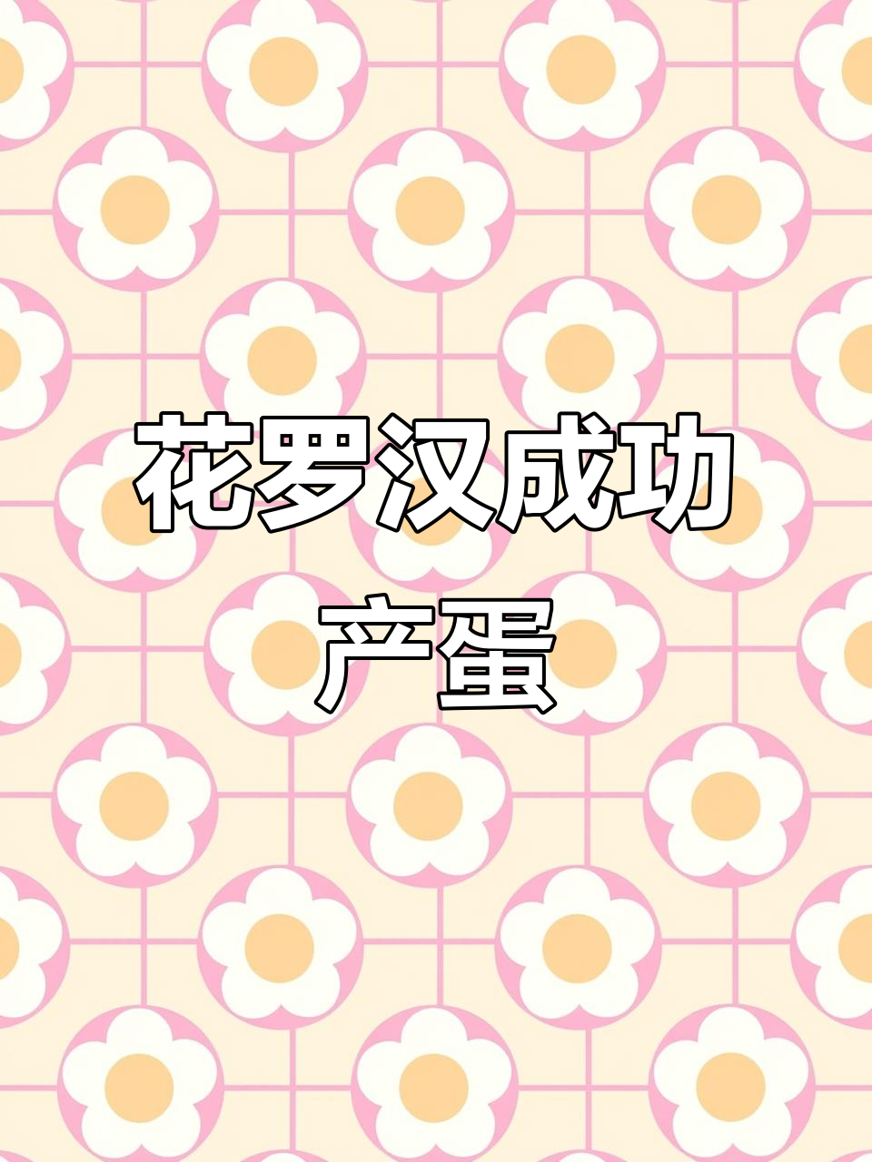 马来西亚巨型花罗汉成功繁殖，证明年龄与尺寸决定生育能力