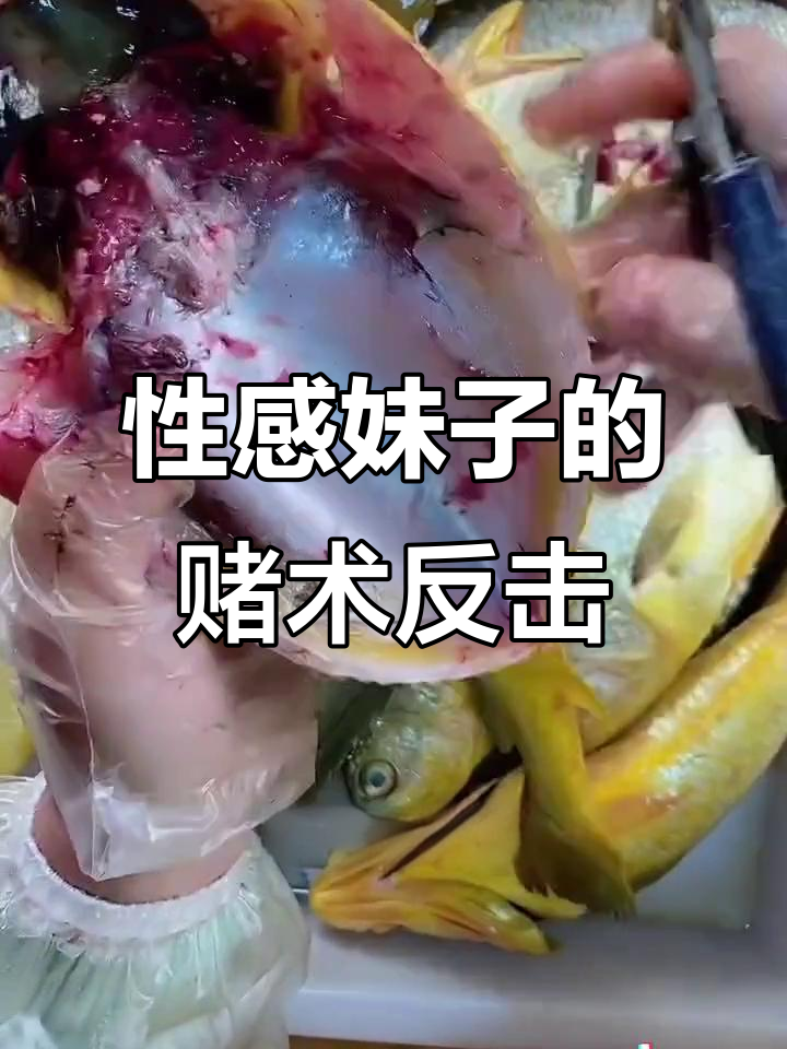 岛国妹子用赌术挑战校园霸凌，清蒸黄花鱼技巧大揭秘！