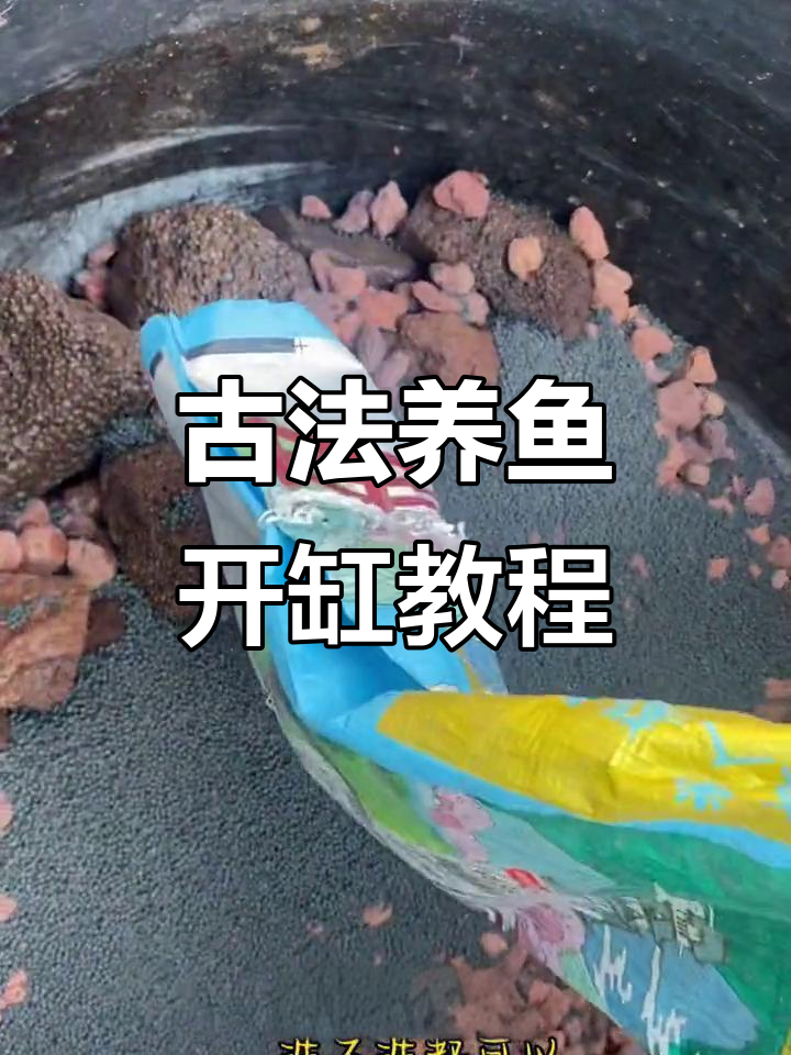 古法养鱼开缸全攻略，轻松打造生态鱼缸
