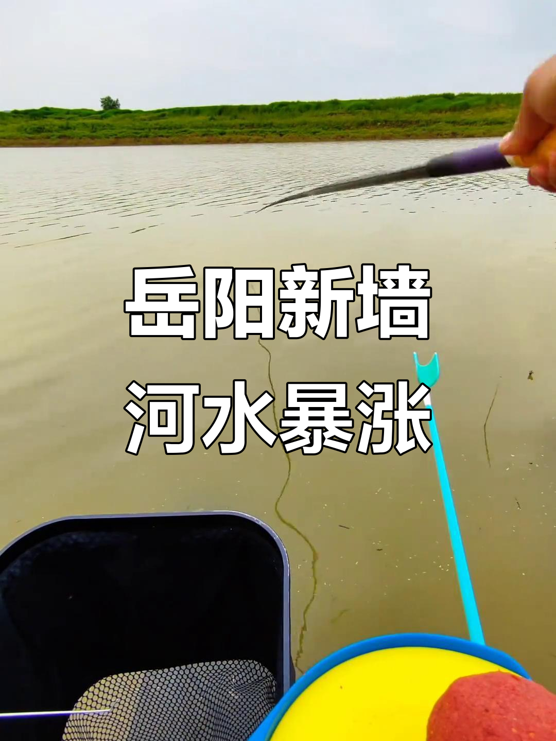 新墙河暴雨涨水,黄尾鲴鱼情大变!