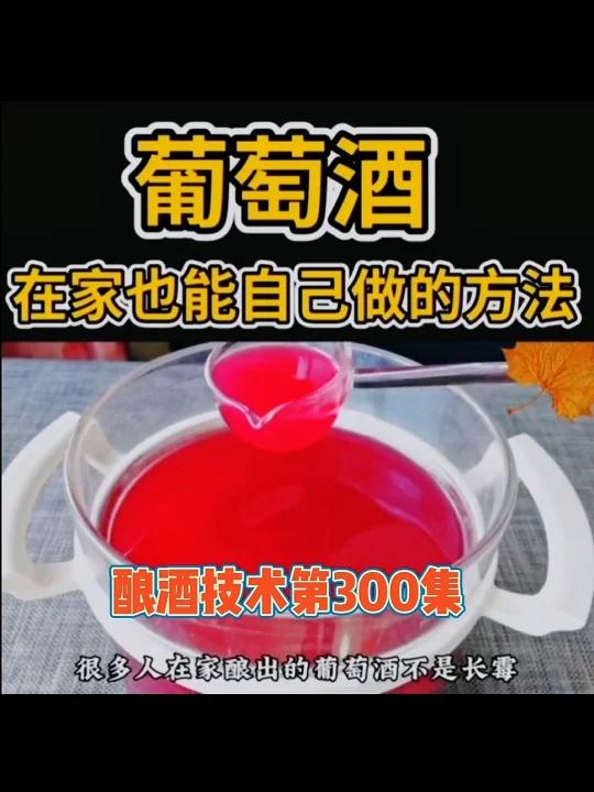 在家自己做葡萄酒喝,奇妙可口的汁水一下子渗遍全身,酸中有甜,清凉爽口(完整版)