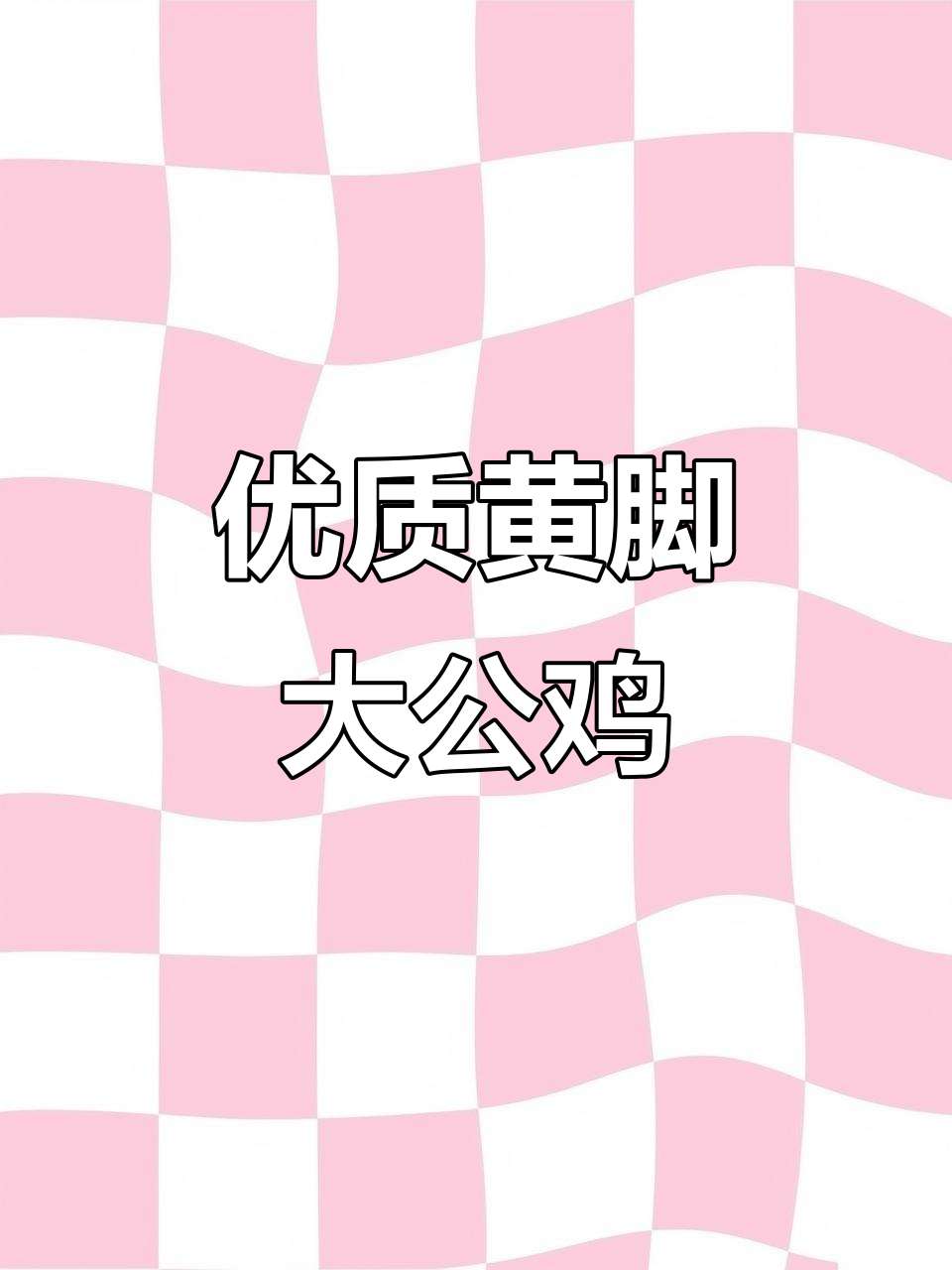 黄脚大公鸡到货,质量保证一手货源