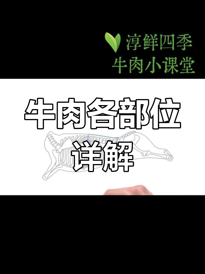 牛肉部位全解析,沙朗、纽约客到天特贝利