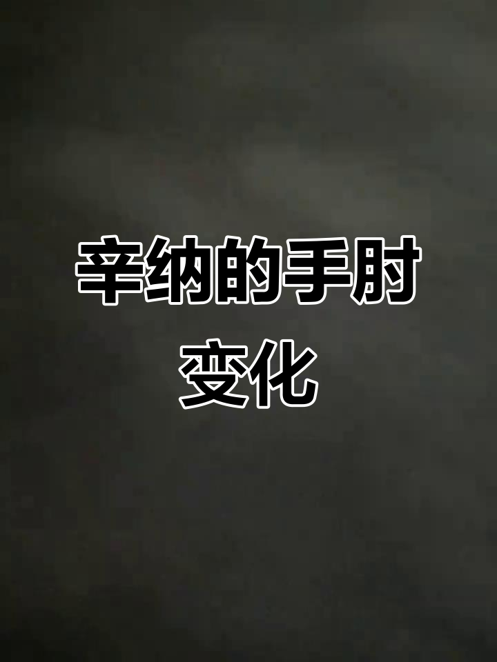 辛纳手肘肌肉惊人,美网表现让人惊喜